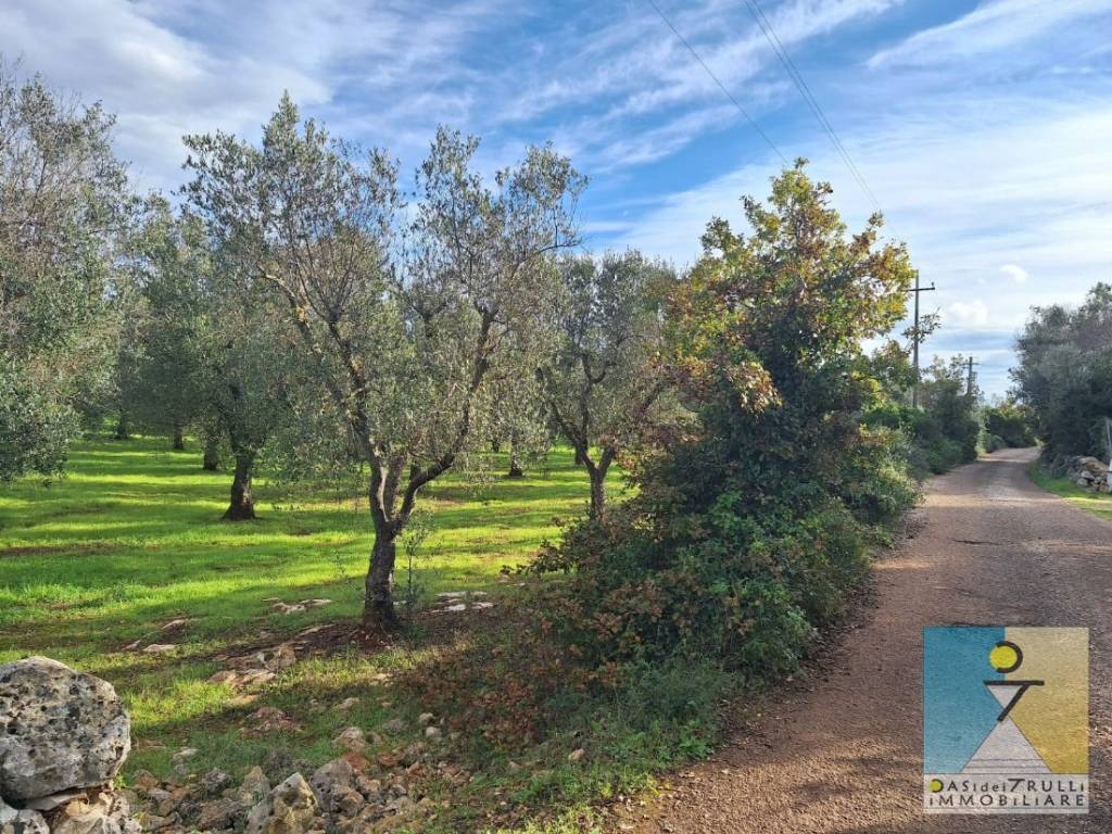 immagine annuncio 3 di 14