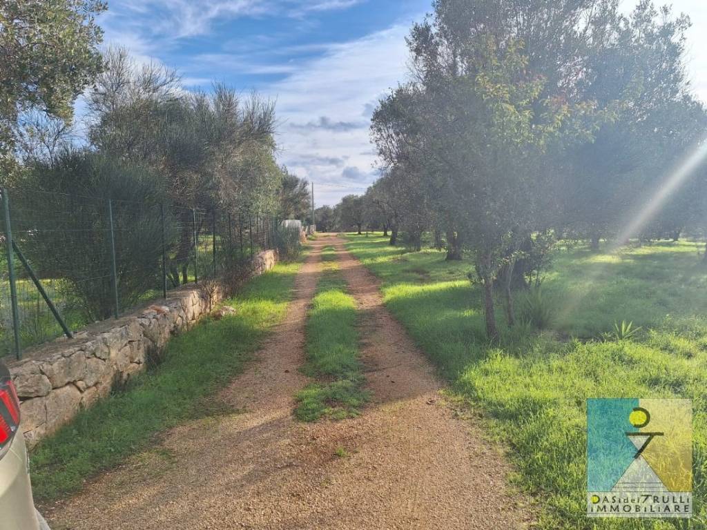 immagine annuncio 4 di 14