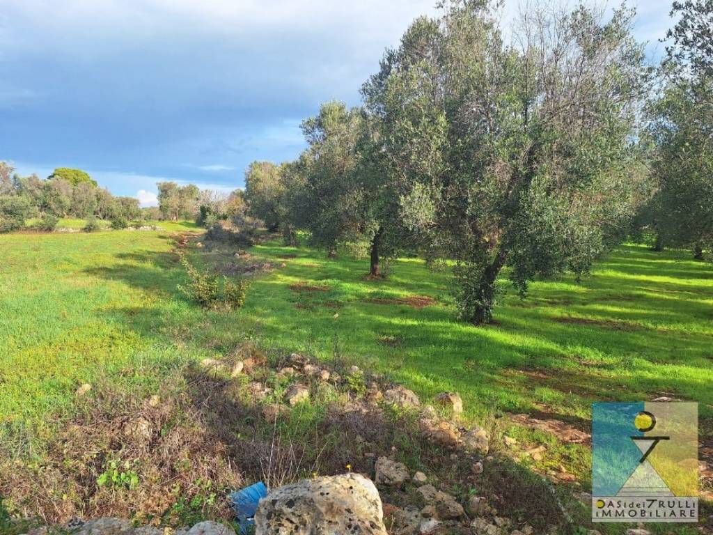 immagine annuncio 6 di 14