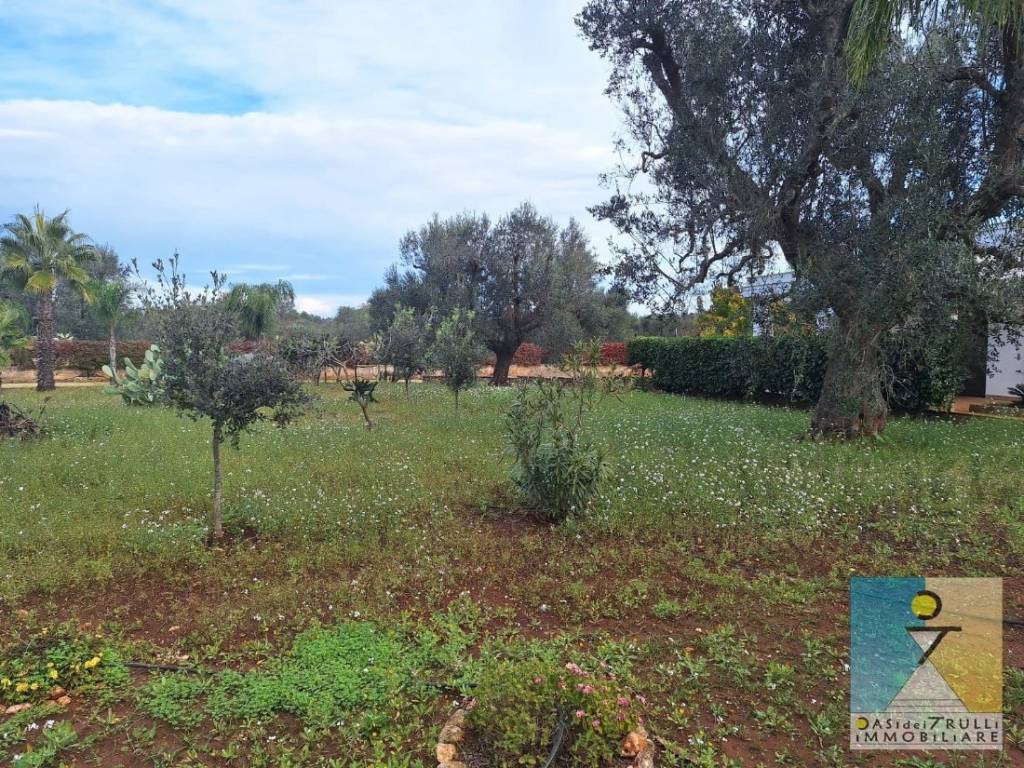 immagine annuncio 8 di 14