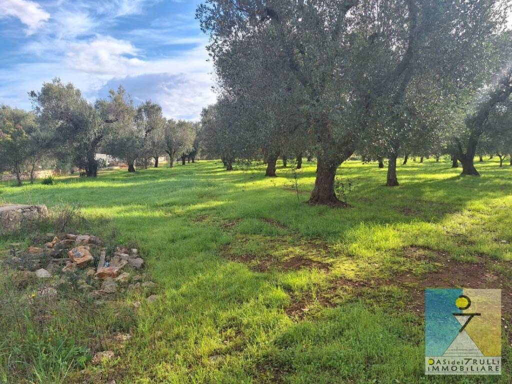 immagine annuncio 10 di 14