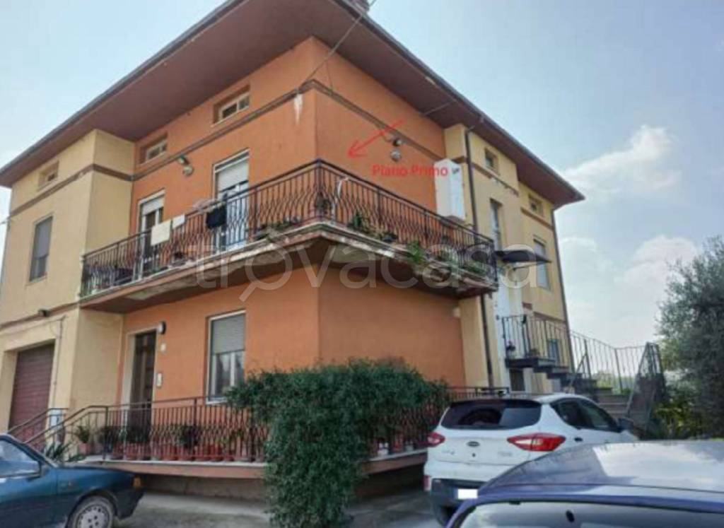 immagine annuncio 1 di 14