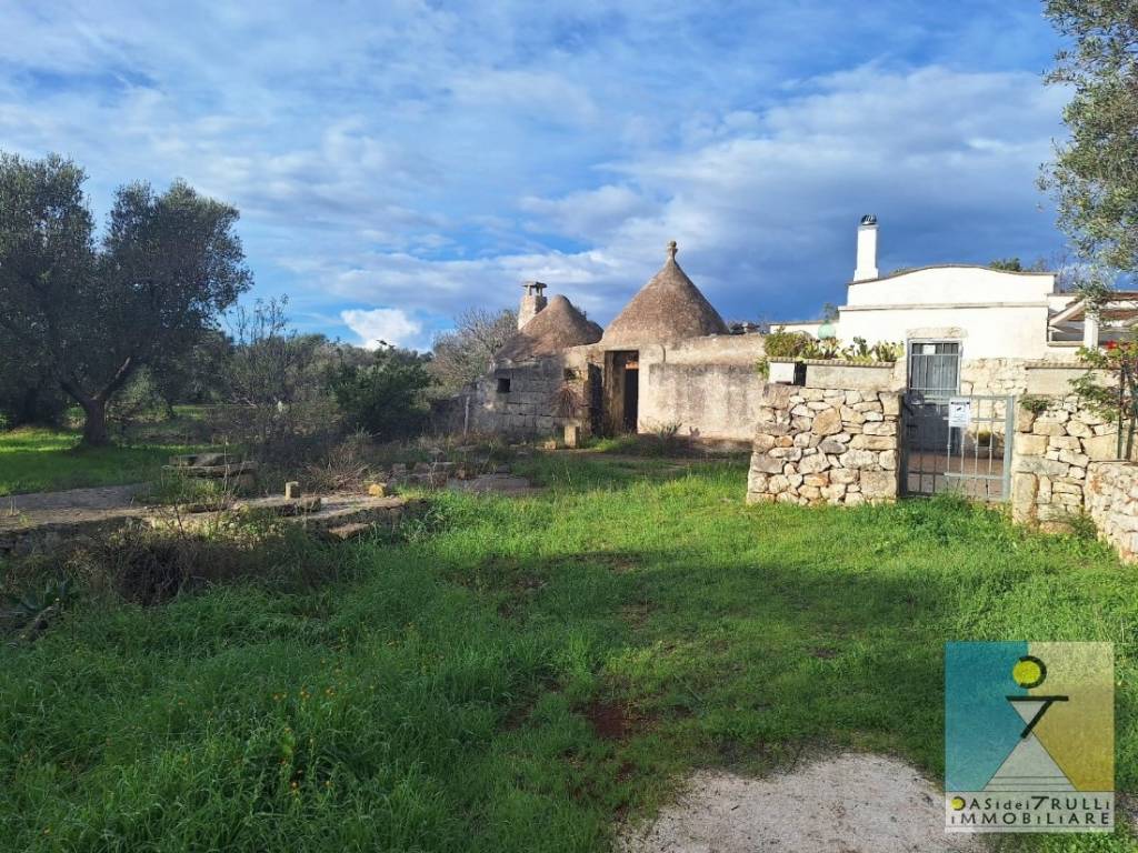 immagine annuncio 11 di 14