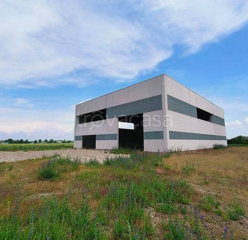 immagine annuncio 2 di 8