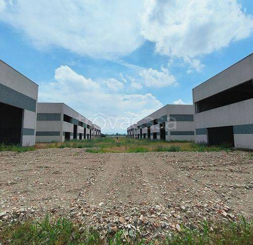 immagine annuncio 3 di 7