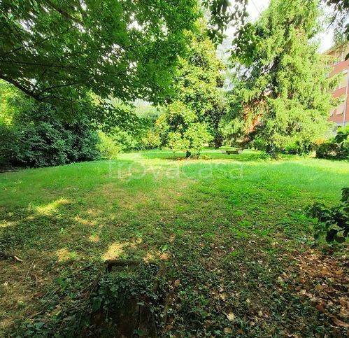 immagine annuncio 5 di 12