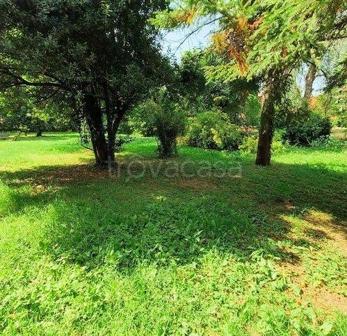 immagine annuncio 7 di 12