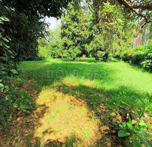 immagine annuncio 11 di 12