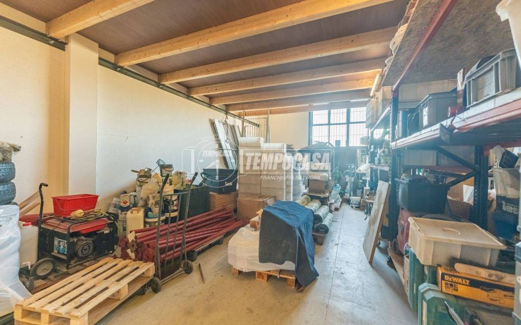 immagine annuncio 9 di 15