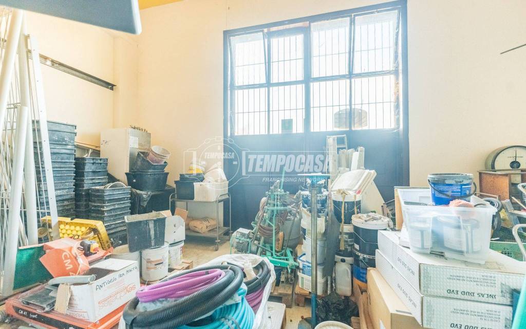 immagine annuncio 11 di 15