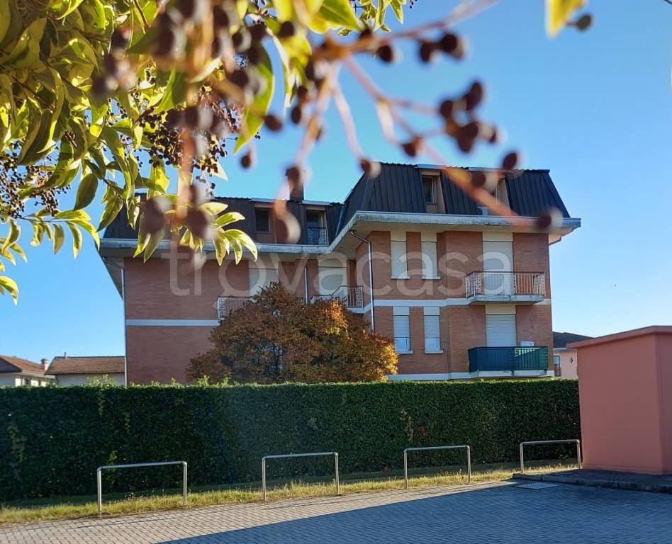 immagine annuncio 4 di 12