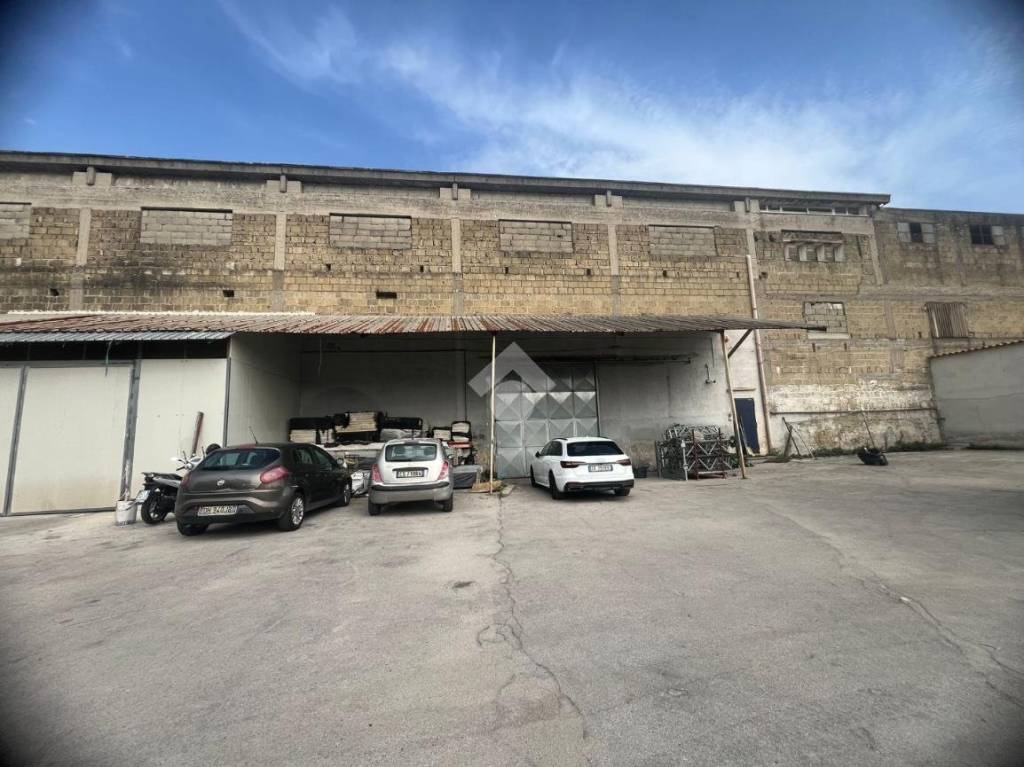 immagine annuncio 7 di 14