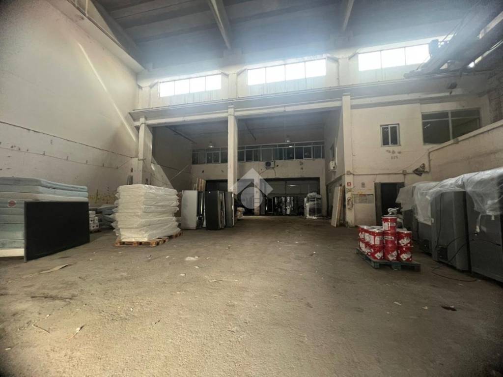 immagine annuncio 12 di 14