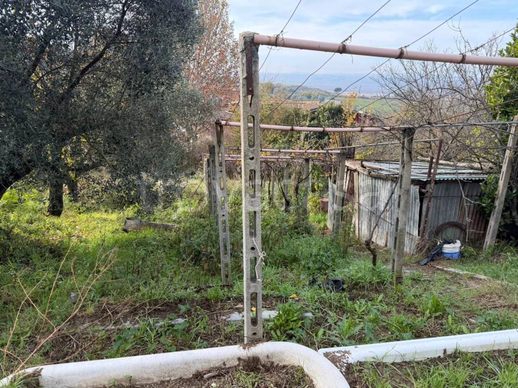 immagine annuncio 8 di 11