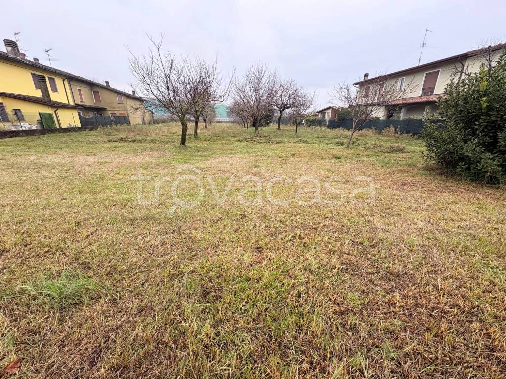 immagine annuncio 3 di 7