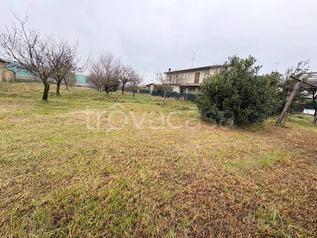 immagine annuncio 5 di 7