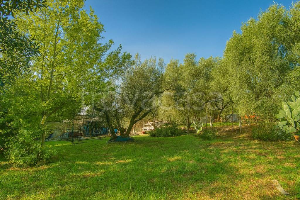 immagine annuncio 6 di 11