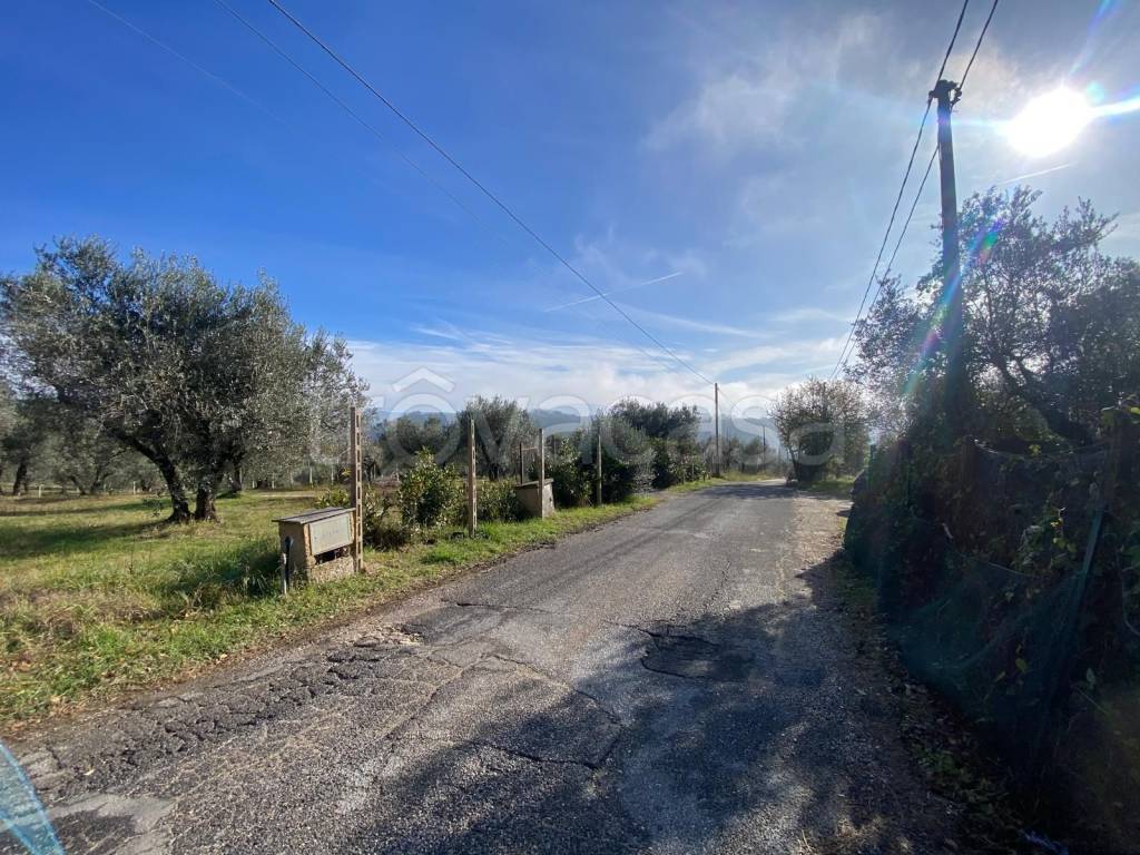 immagine annuncio 9 di 11