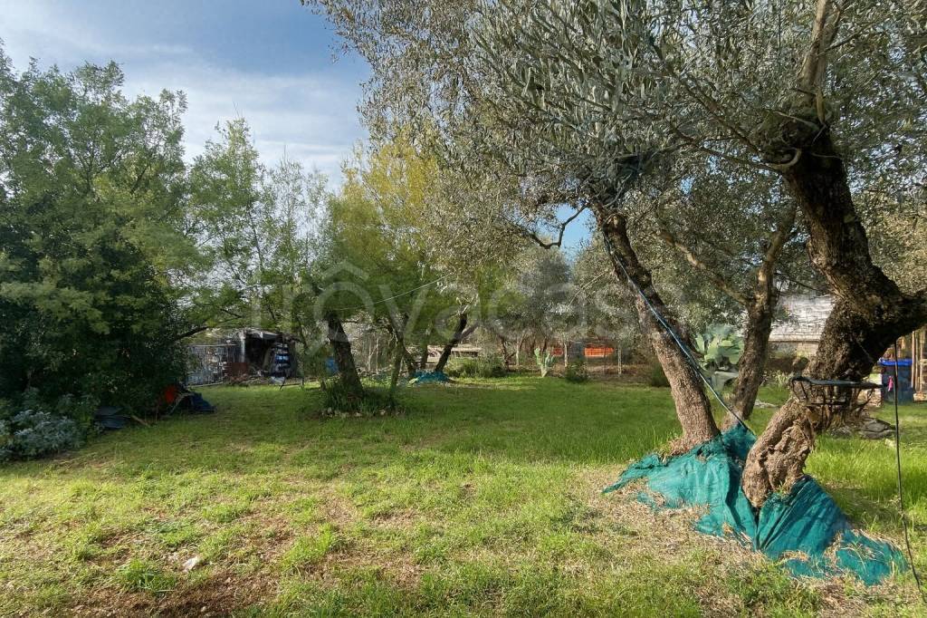 immagine annuncio 7 di 11