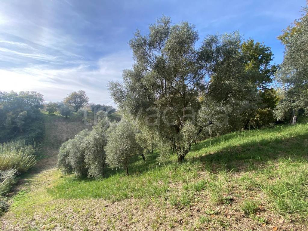 immagine annuncio 8 di 11