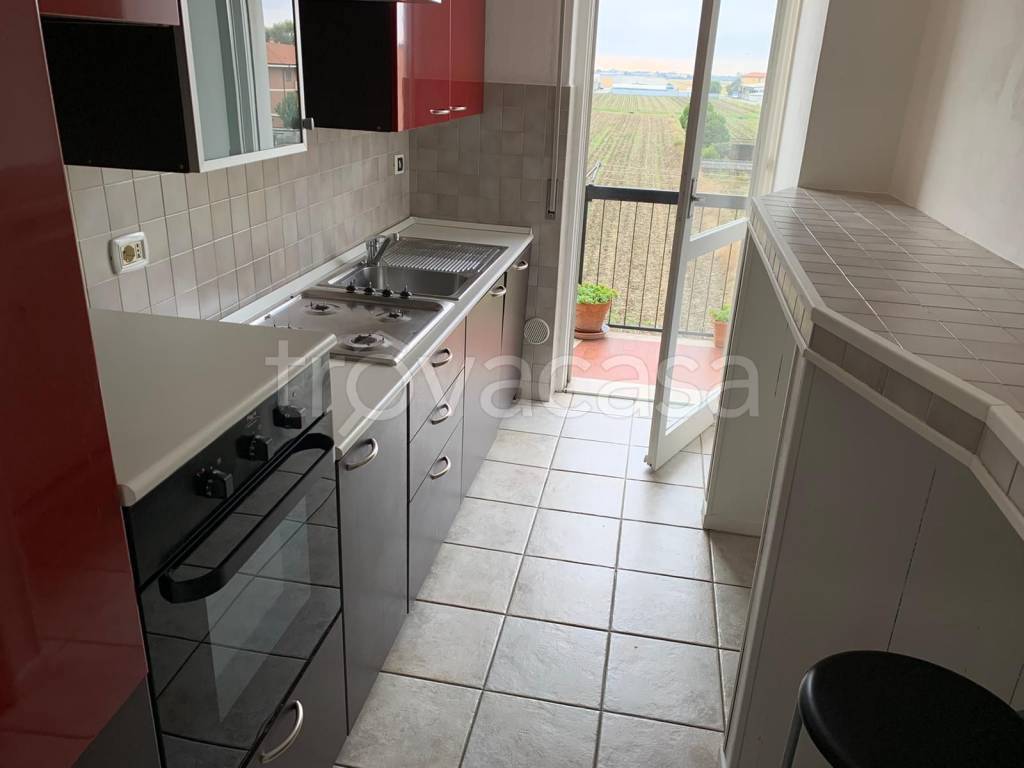 immagine annuncio 5 di 8