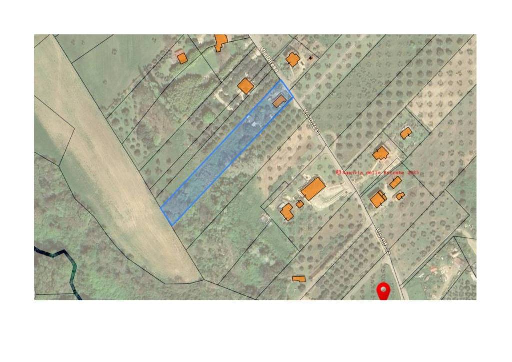 immagine annuncio 10 di 11