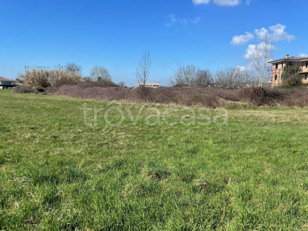 immagine annuncio 4 di 10