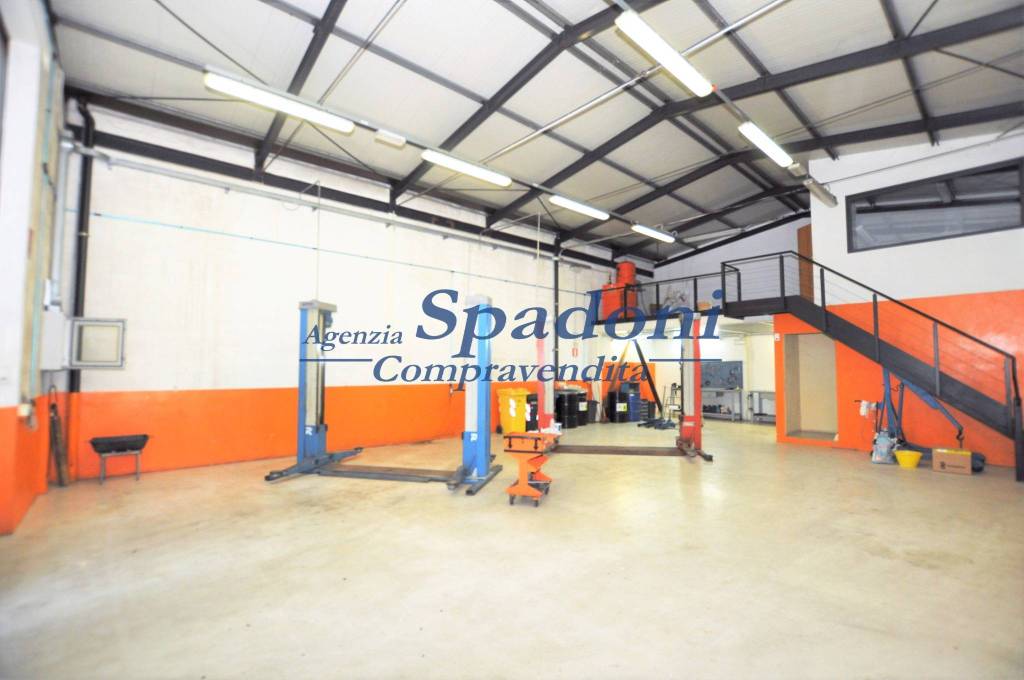 immagine annuncio 3 di 15