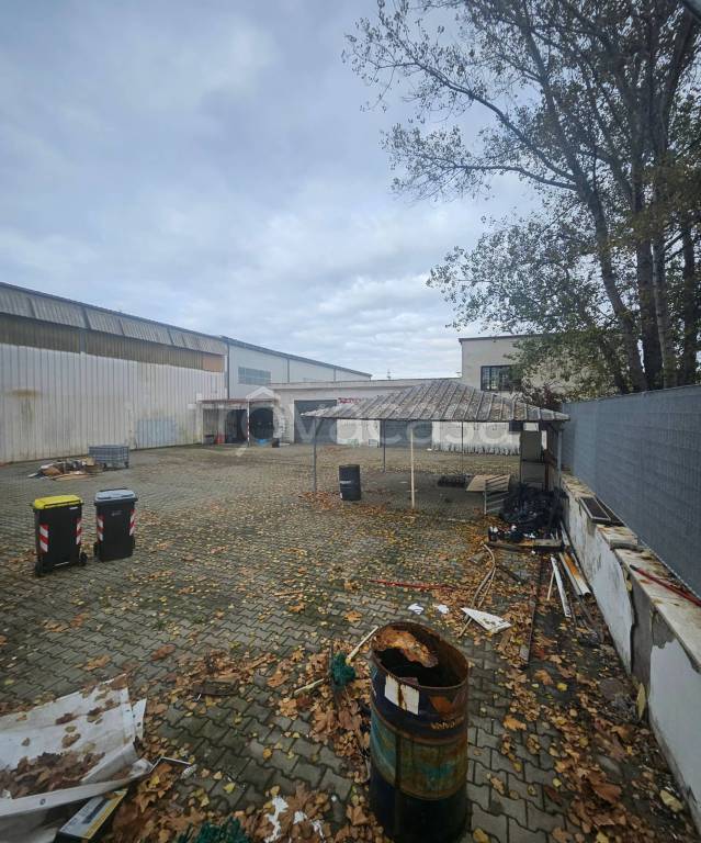 immagine annuncio 2 di 3