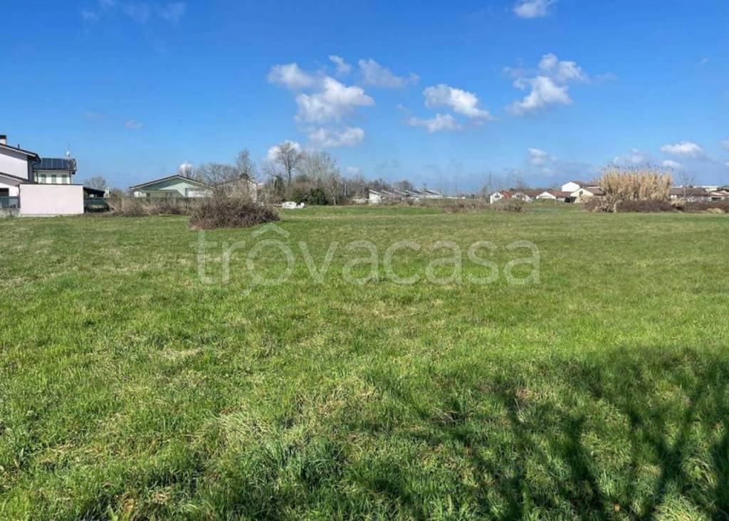 immagine annuncio 2 di 11