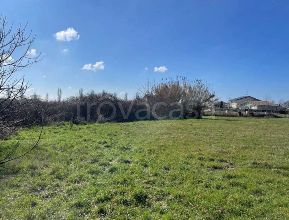 immagine annuncio 3 di 11