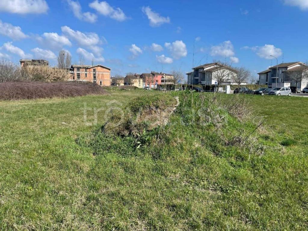 immagine annuncio 5 di 11