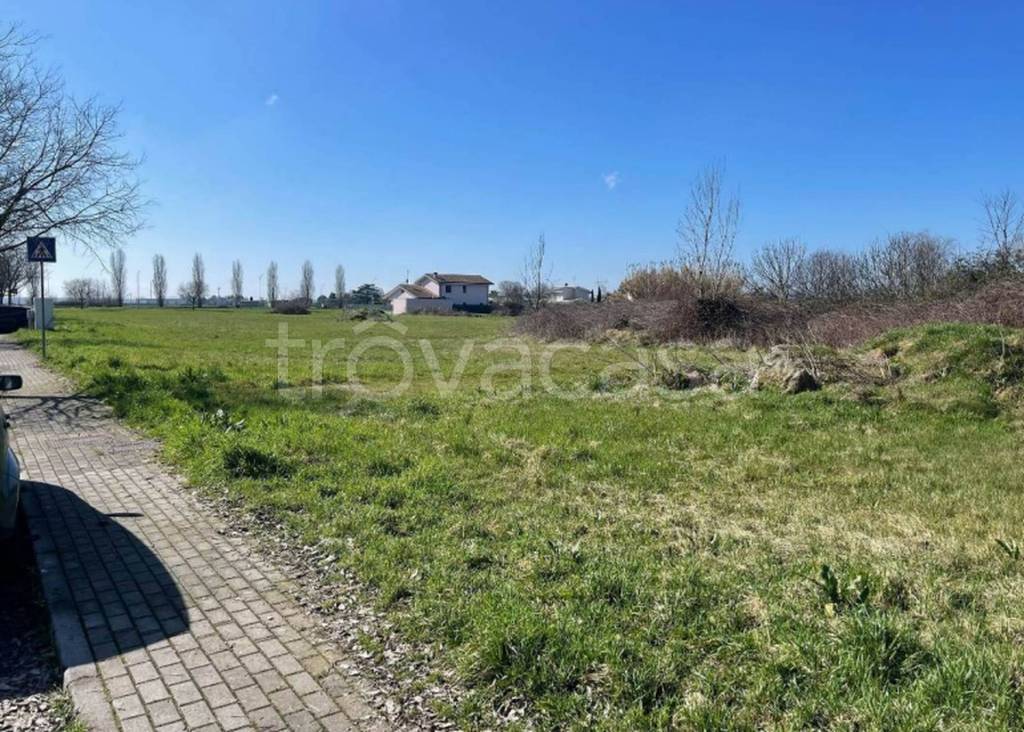 immagine annuncio 6 di 11