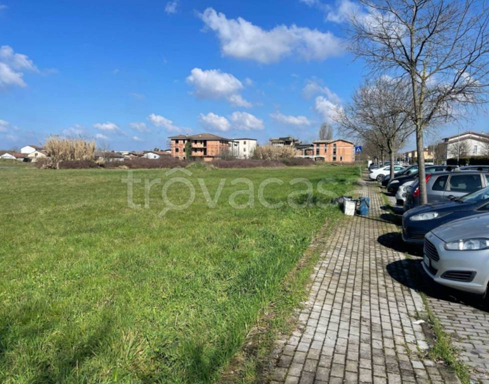 immagine annuncio 8 di 11