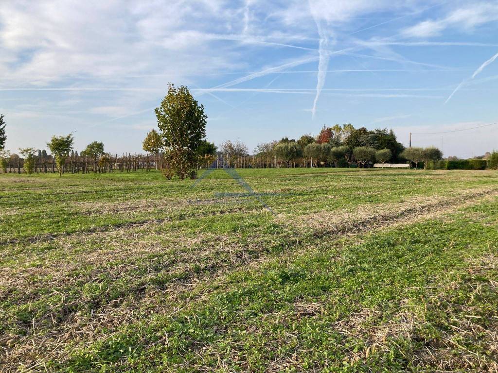 immagine annuncio 8 di 13