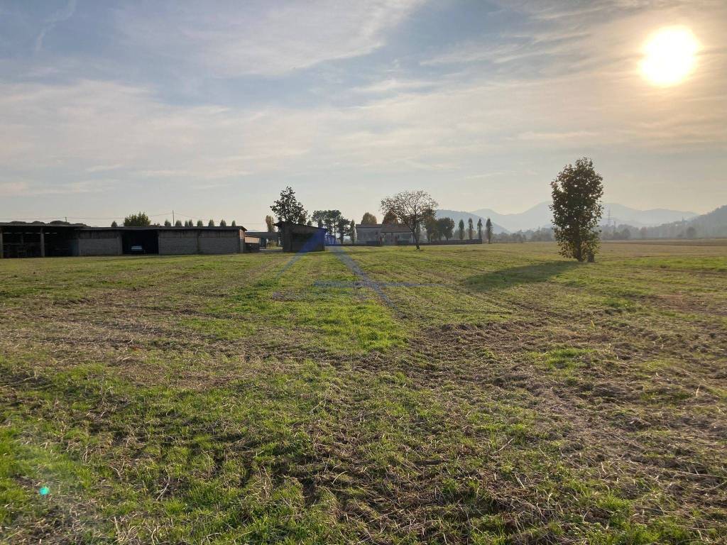 immagine annuncio 4 di 13