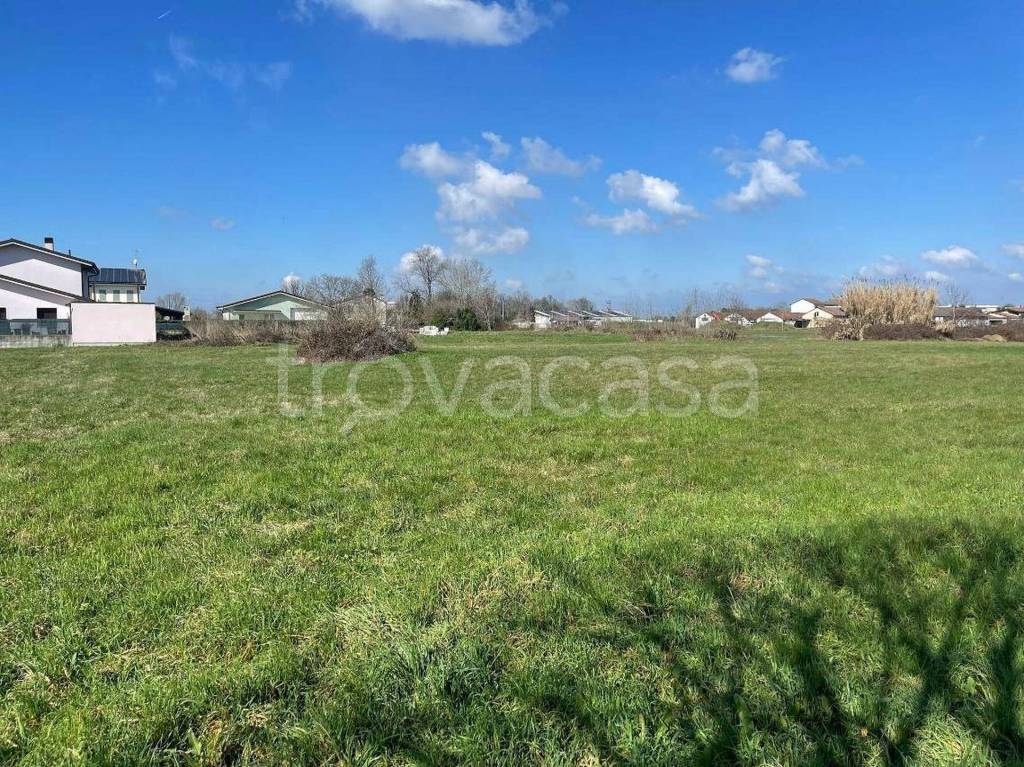 immagine annuncio 5 di 13