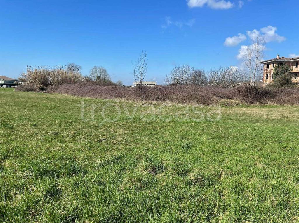 immagine annuncio 6 di 13