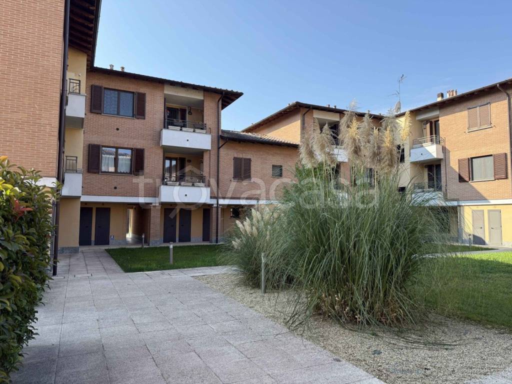 immagine annuncio 1 di 12