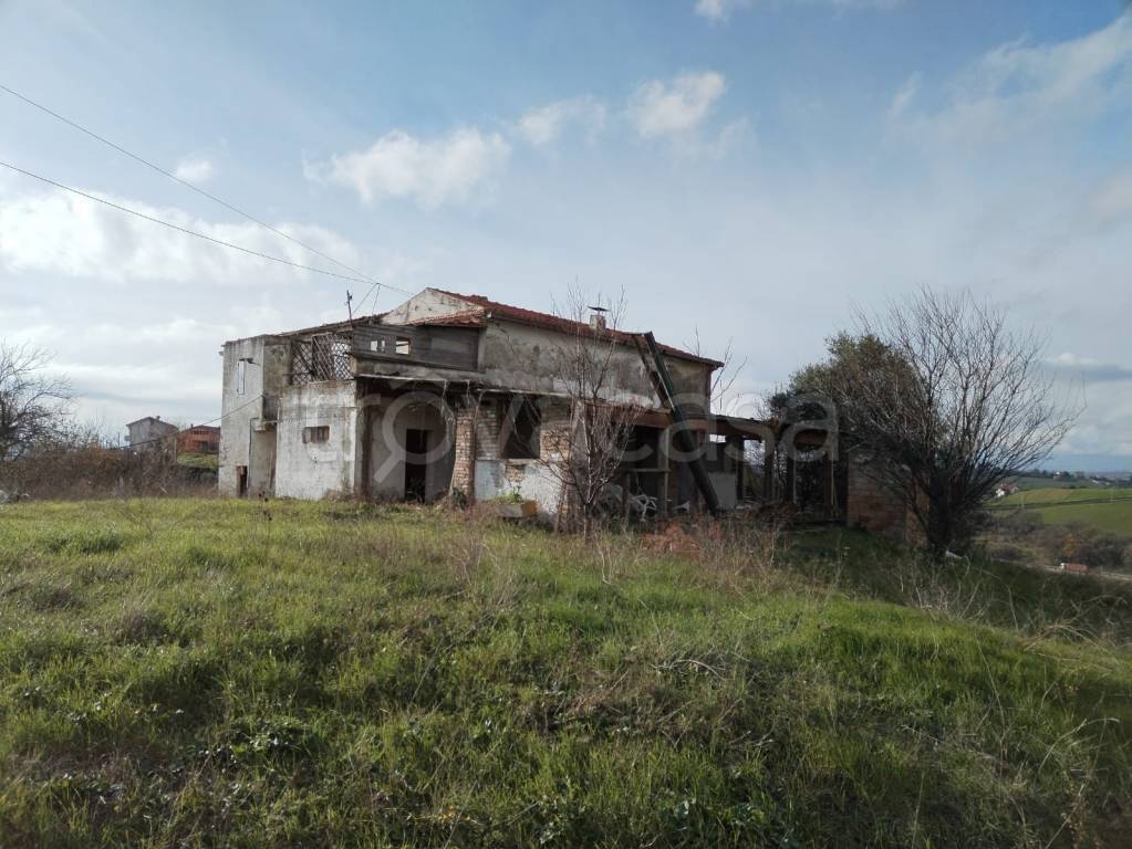 immagine annuncio 4 di 11