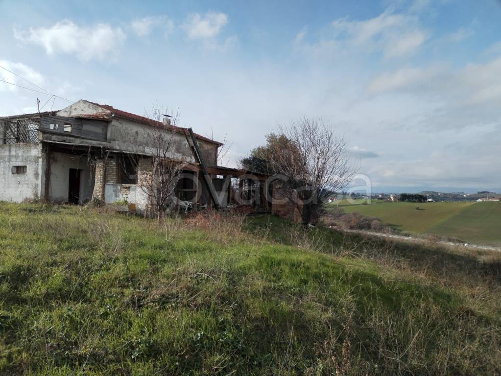 immagine annuncio 7 di 11