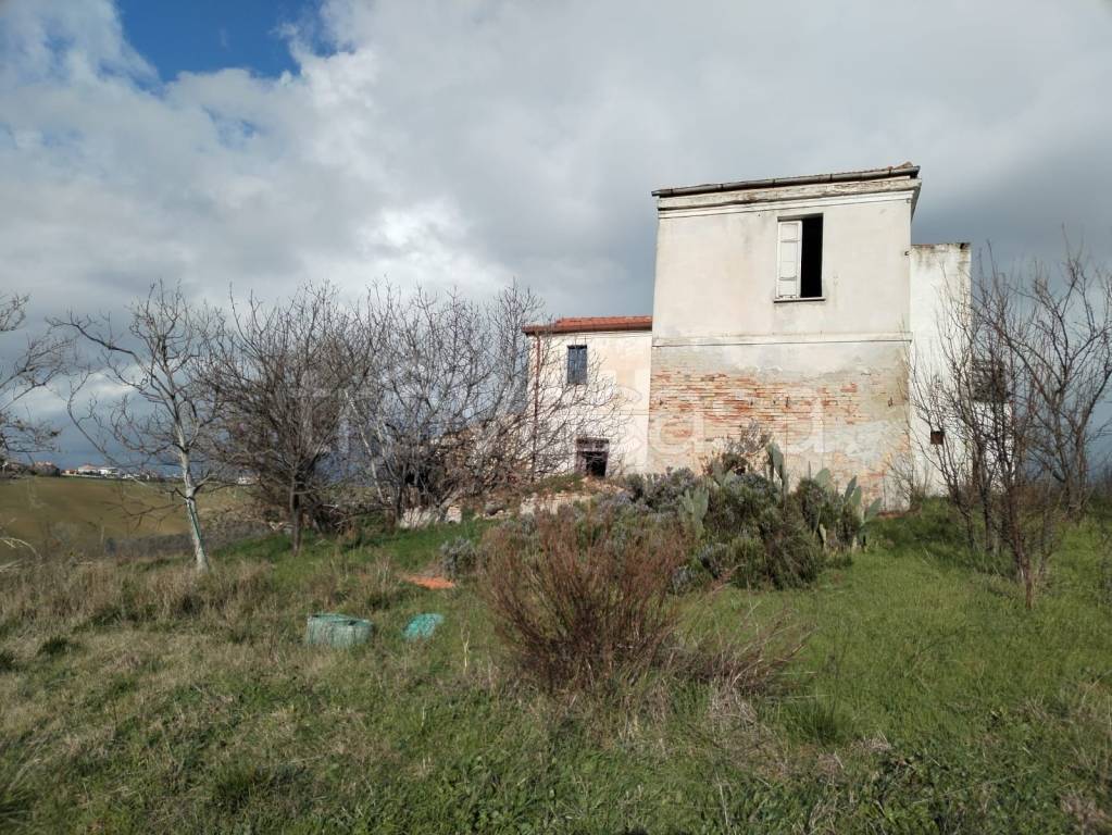 immagine annuncio 8 di 11