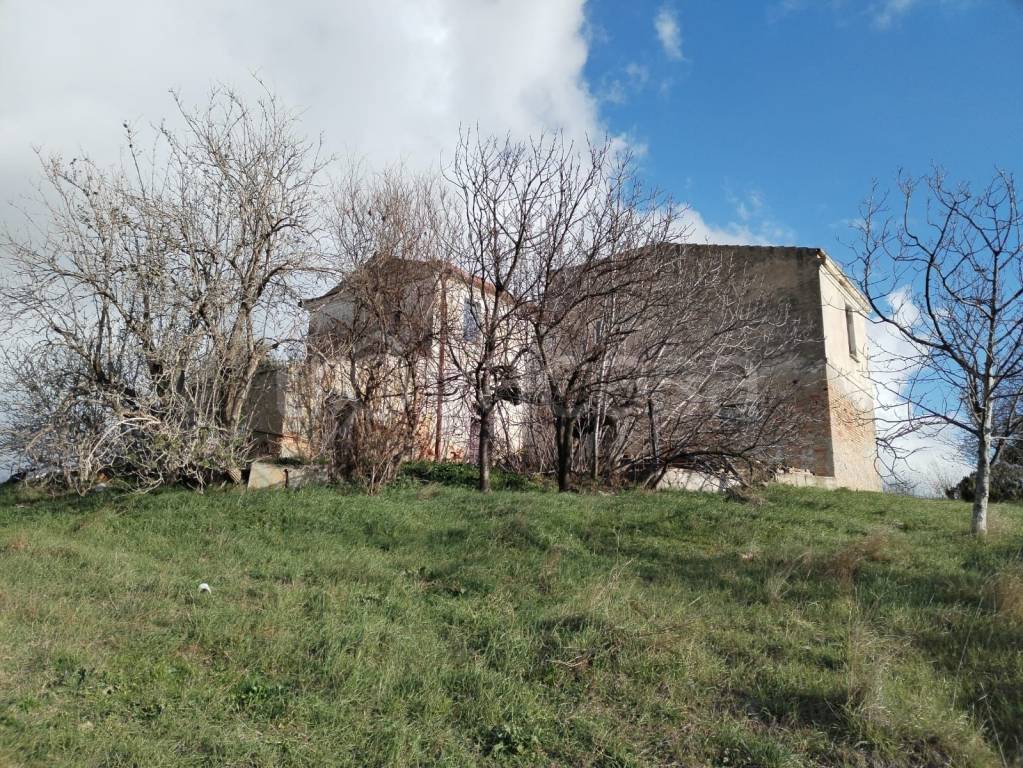 immagine annuncio 9 di 11