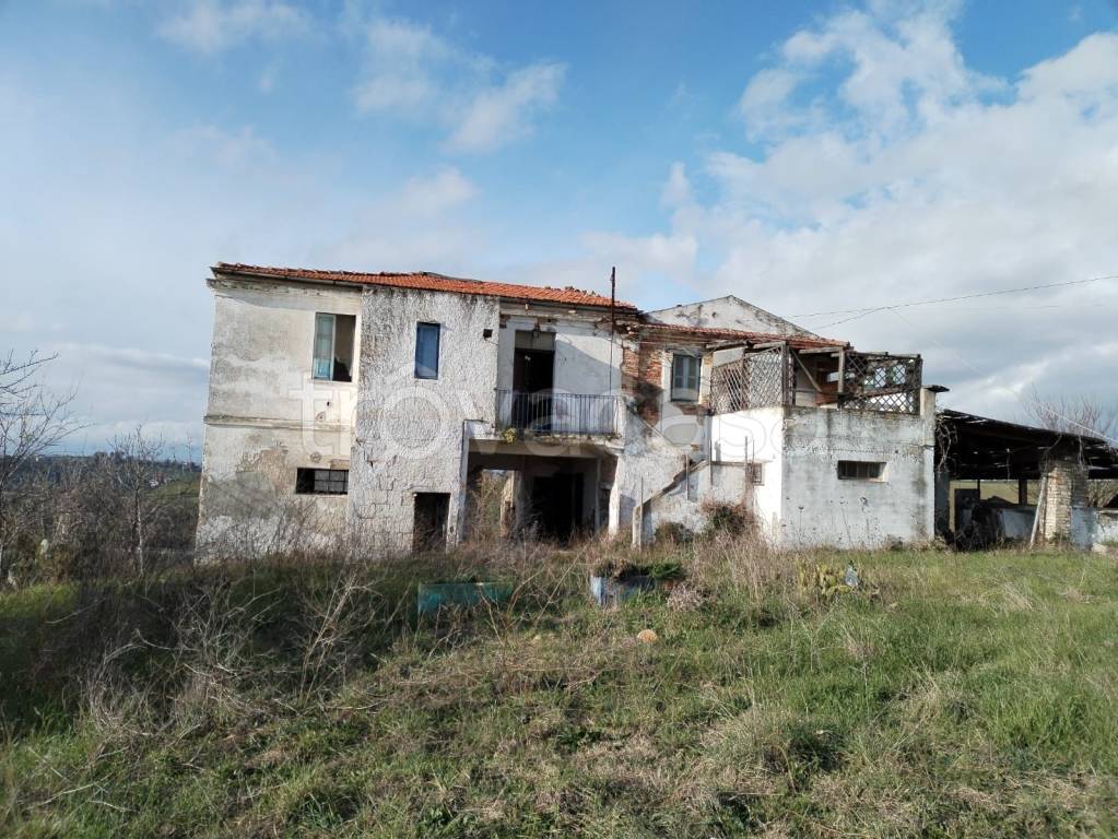 immagine annuncio 10 di 11