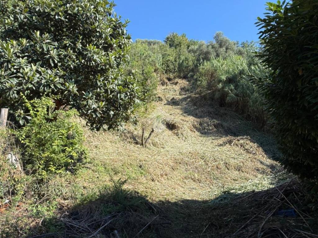 immagine annuncio 3 di 14