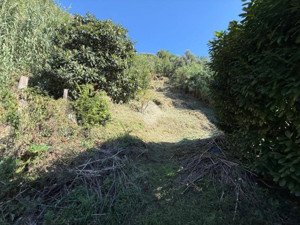 immagine annuncio 5 di 14