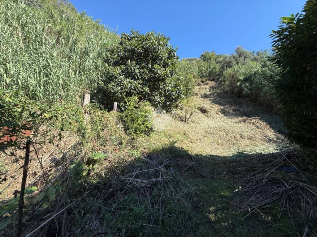 immagine annuncio 11 di 14