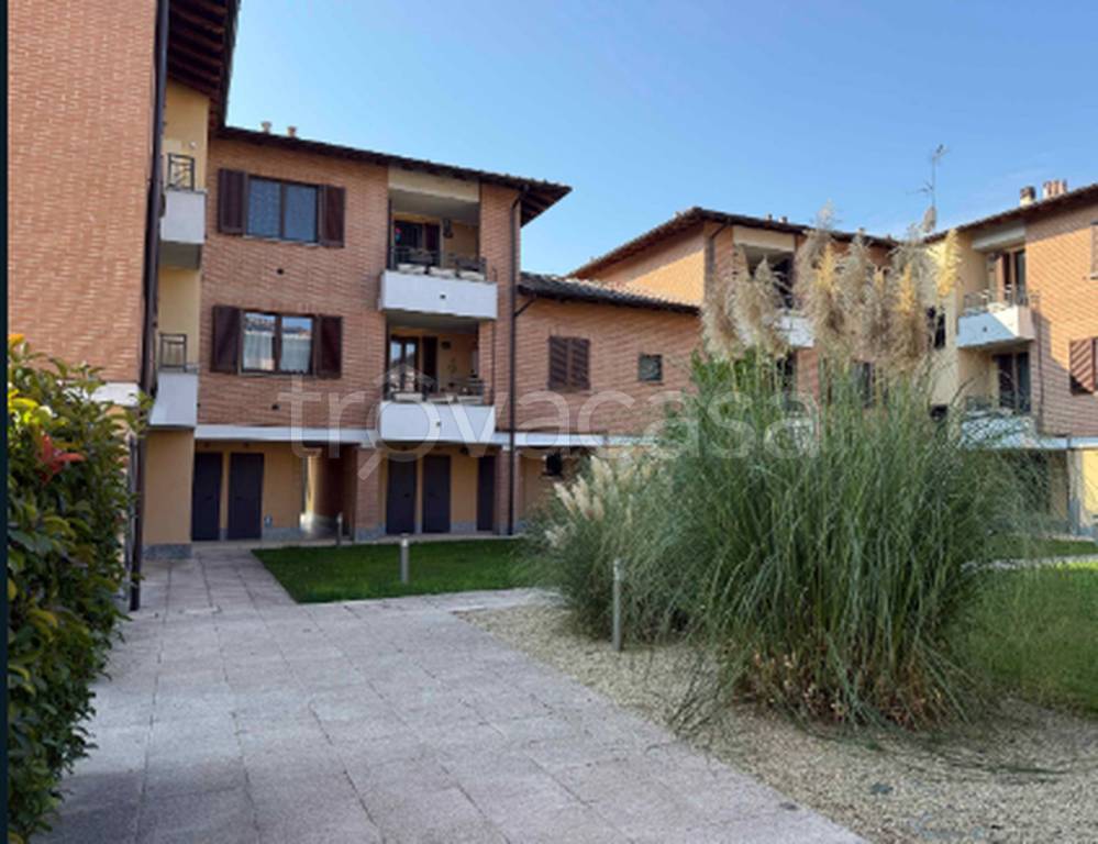 immagine annuncio 7 di 8