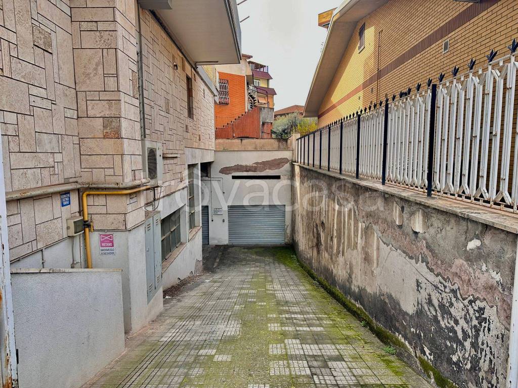 immagine annuncio 5 di 6