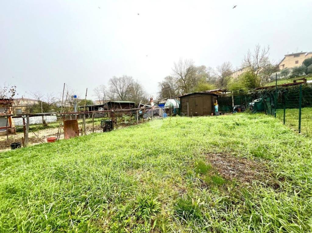 immagine annuncio 11 di 13